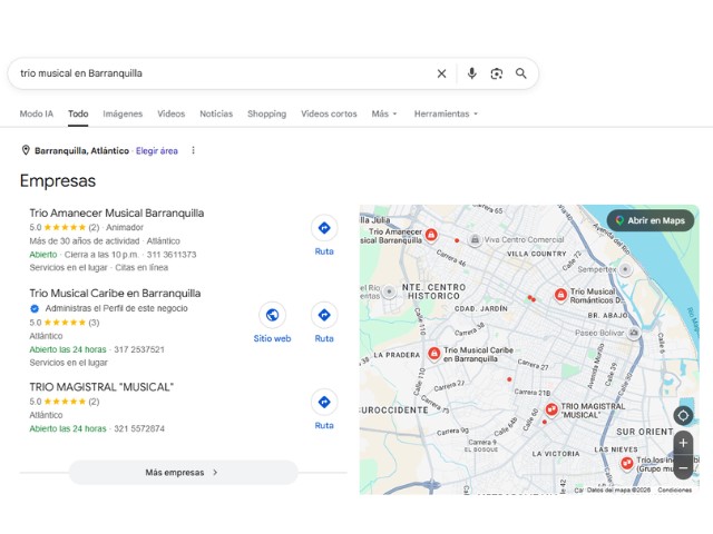 Perfil de empresa en Google Maps para grupo musical - ficha de Google optimizada